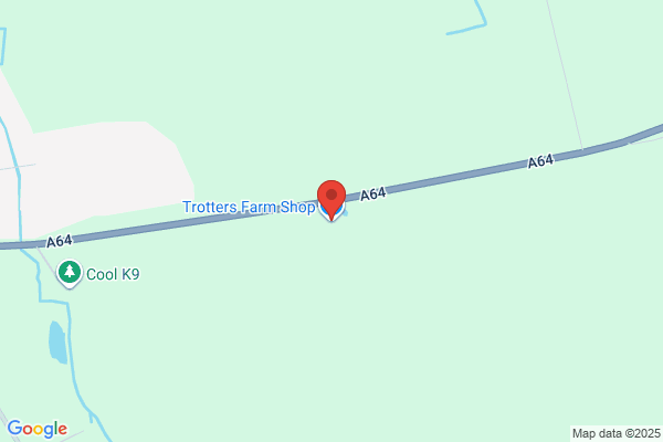 K H Trotter