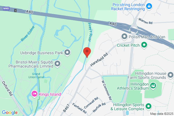 West London Tree Surgeons
