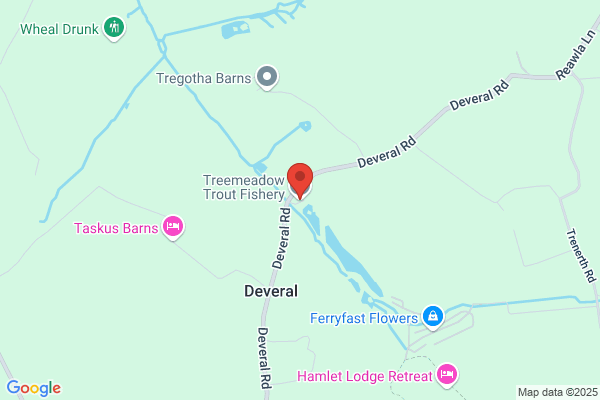 Treemeadow Trout Fishery