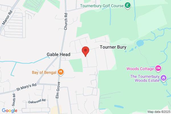 Solent Tree Surgeons