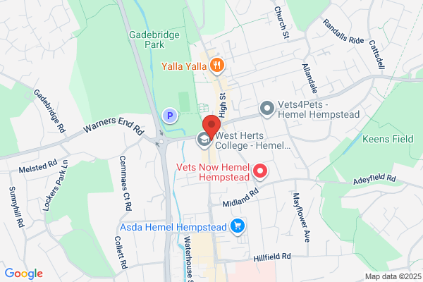 Violet Telecoms Ltd