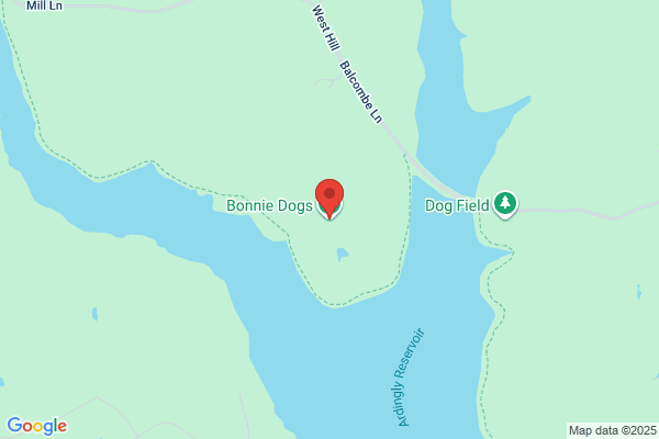 Bonnie Cars