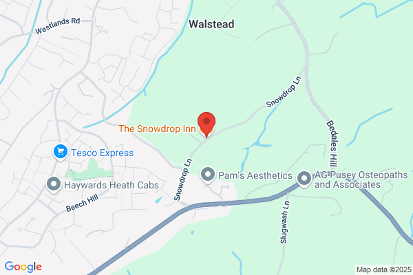 The Snowdrop Inn
