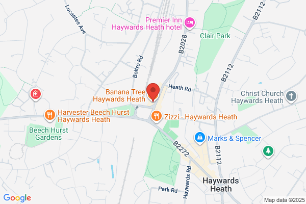 Treetrunks (UK)