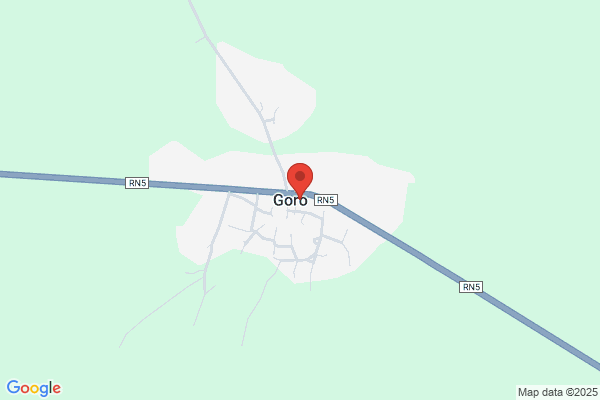 Goro International