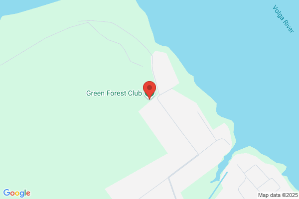 Green Forest