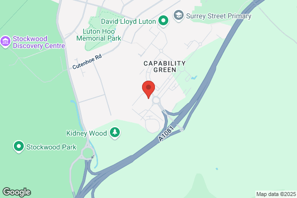 The Carlyle Cleaning Co
