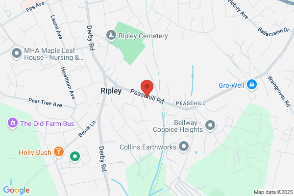 Ashley Carpet Care