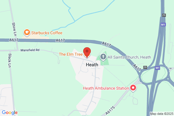 The Elm Tree