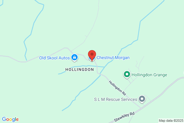 Chestnut Morgan Ltd