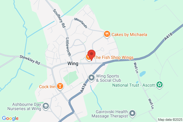 Wing Cars