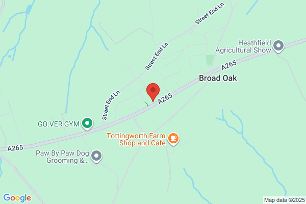 Broad Oak Tree Consultants