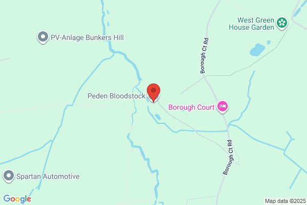 Peden Bloodstock Ltd