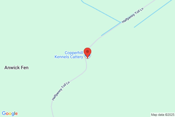 Copperhill Kennels