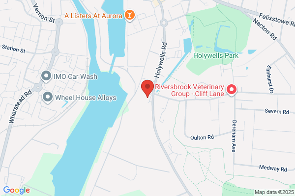 Norfolk & Suffolk Podiatry Ltd