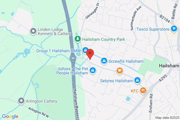 Chandlers Hailsham MINI