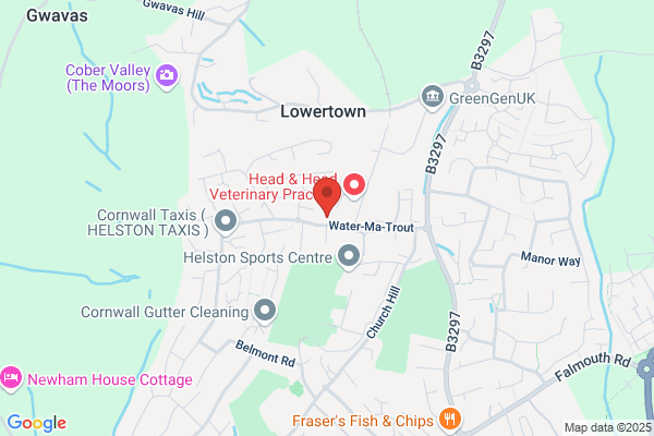 P S S Helston Ltd
