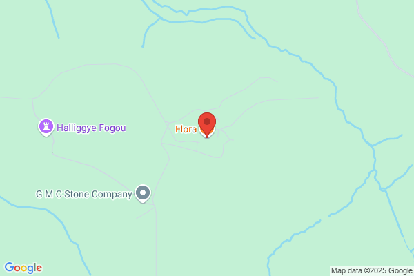 Figs Bistro