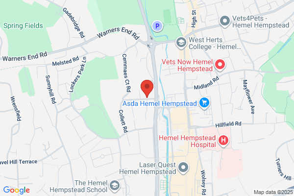 Apex Support Services Ltd
