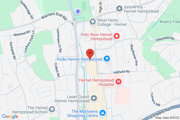 Hemel Hempstead Library