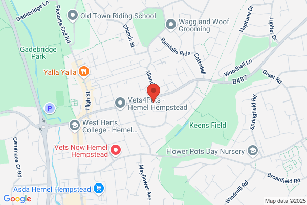 Hemel Hempstead Conservative Association