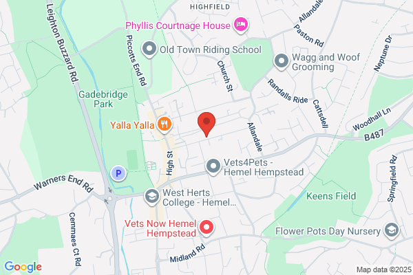 Mayflower Avenue Sheltered Housing