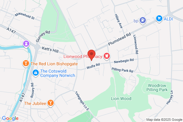 Go Heating Repair – Holt