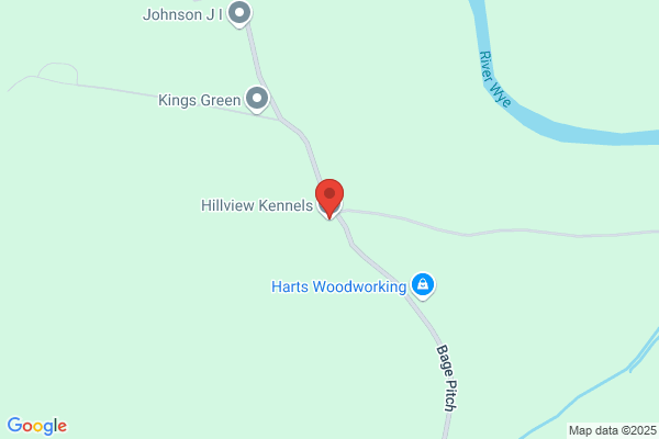 Thinghill Boarding Kennels & Cattery