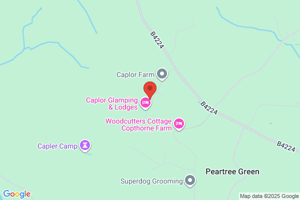 Caplor Energy Ltd