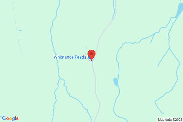 D G Whistance
