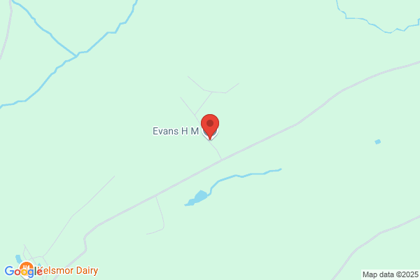 H M Evans