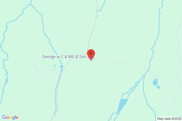 W C & M E George & Son