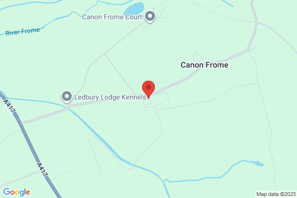 Festive Forestry Services