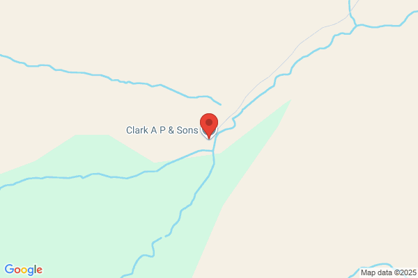A P Clark & Sons