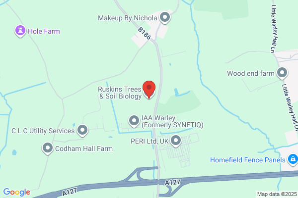 Ruskins Tree Surgery Ltd