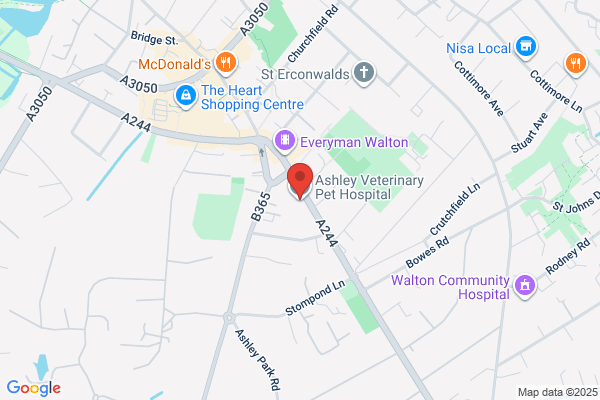 Ashley Veterinary Hospital