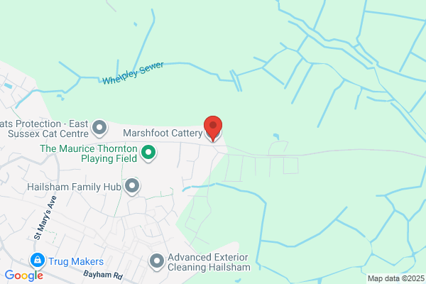 Marshfoot Cattery