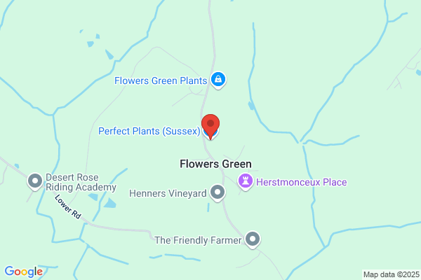 Sussex Plants Ltd