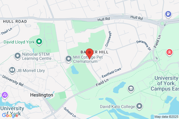 Badger Hill Primary School