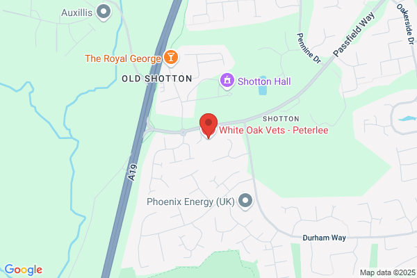 White Lion Vets - South Hetton