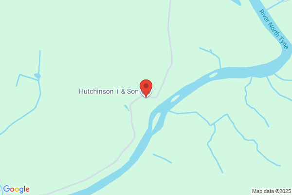T Hutchinson