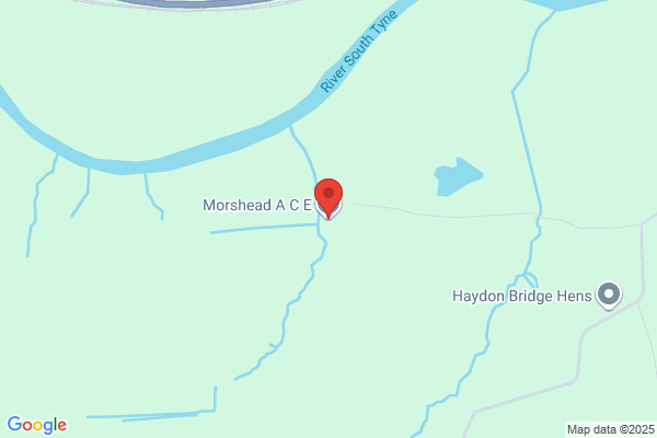 A C E Morshead