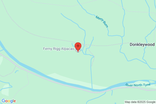 Bingfield Alpacas