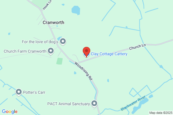 Cottonbrooks Cattery