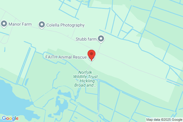 F A I T H Animal Rescue