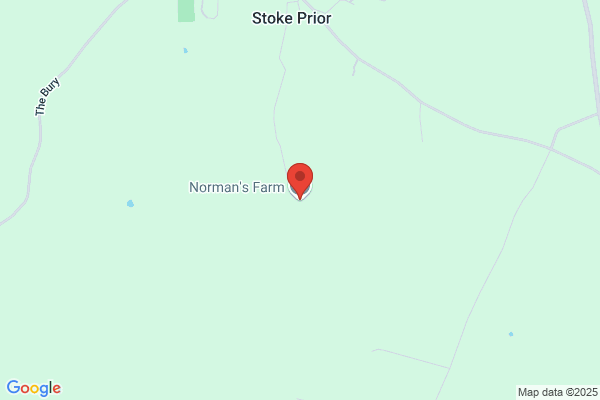Norman Wood