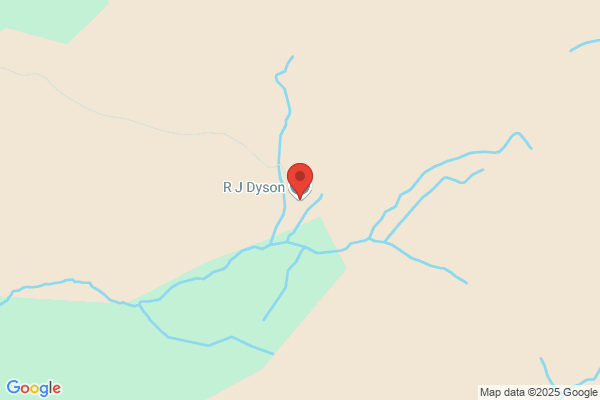 F T & S J Dyson