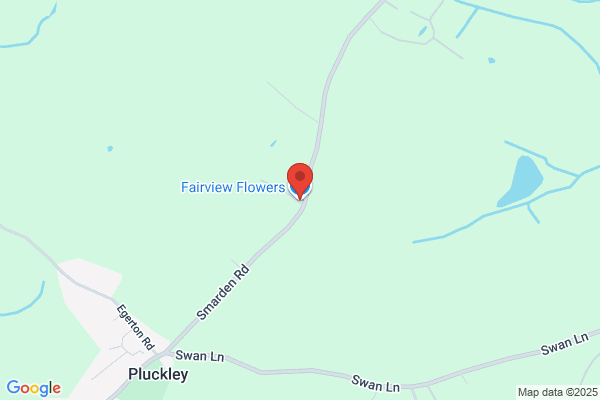 Flower View Ltd