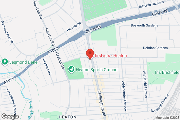 firstvets - Heaton