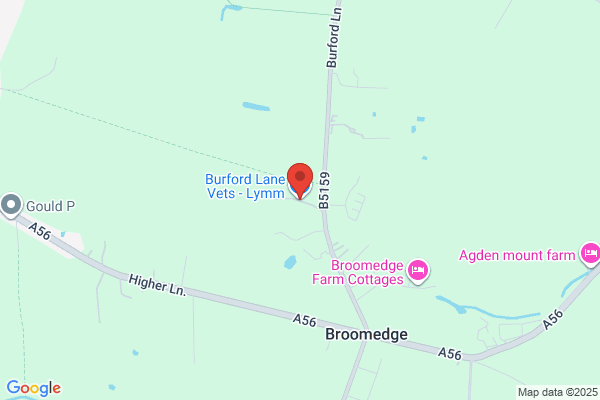 Lymm Footcare